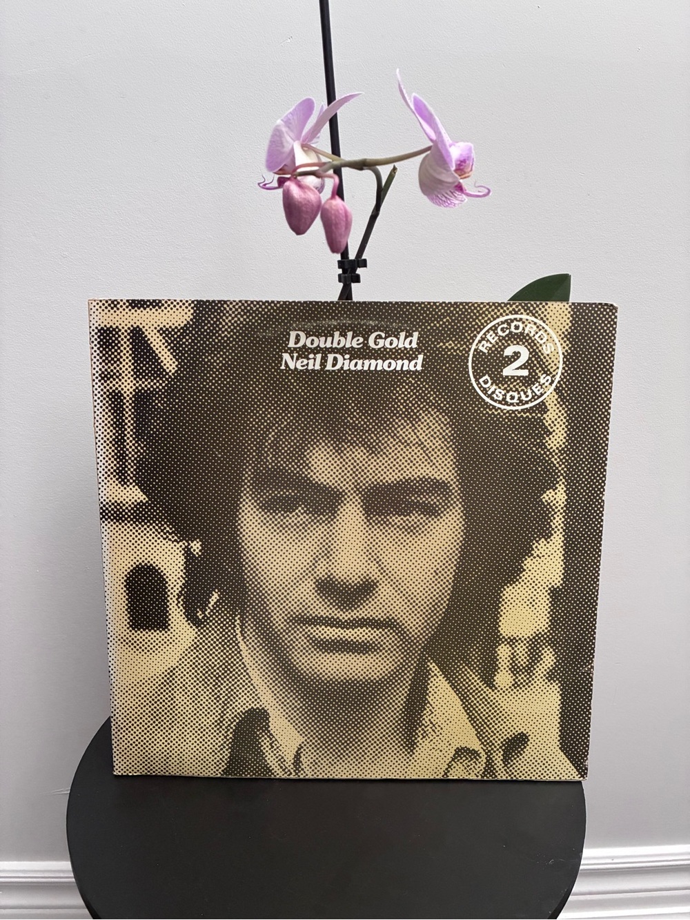 Neil Diamond "Double Gold" Vintage 2-Record Set